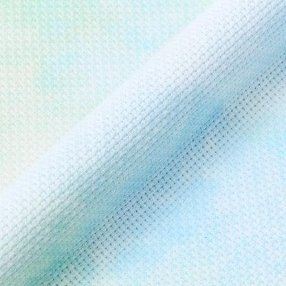 AIDA 14 DMC Estampada